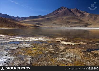 Laguna Miscanti and the Miniques Volcano high on the altiplano in the Andes Mountains in the Atacama Desert in northern Chile