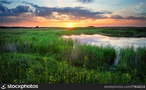 Lake among green grass at sunset. Summer landscape. Lake among green grass at sunset