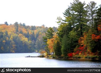 Lake and forest in the fall in northern Ontario