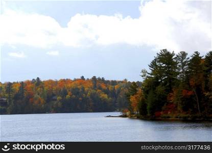 Lake and forest in the fall in northern Ontario, Canada