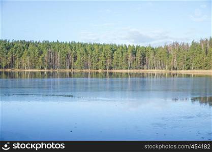 Lake and fresh air. Sunny day at Latvia, Cesis, lake Ninieris. Travel photo. 2014