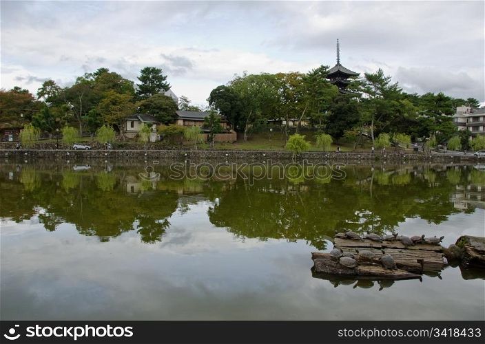 Lake and pagoda in Nara. Wide angle view of a lake in Nara, Japan with turtles in the front and pagoda of Kofuku-ji temple in background
