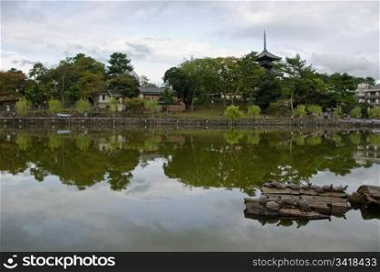 Lake and pagoda in Nara. Wide angle view of a lake in Nara, Japan with turtles in the front and pagoda of Kofuku-ji temple in background