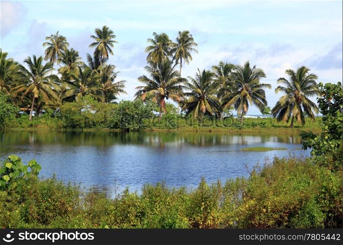 Lake and palm trees near the ocean in Samoa
