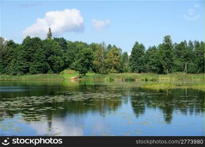 Lake and trees on a background of the blue sky