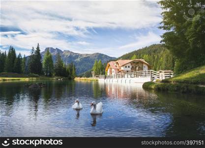 lake at the Dolomites mountains and goose in the foreground. italian Dolomiti. Italy