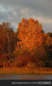 Lake Autumn Colors