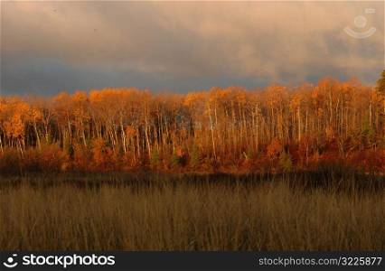 Lake Autumn Colors