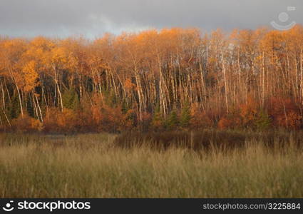 Lake Autumn Colors