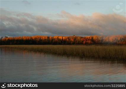Lake Autumn Colors