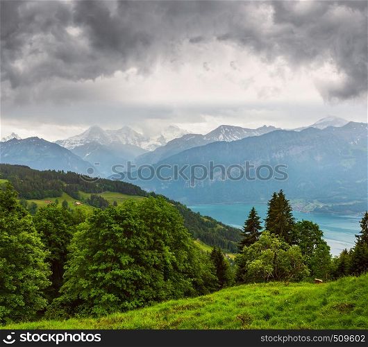 Lake Brienz or Brienzersee evening cloudy summer top view (Berne, Switzerland).