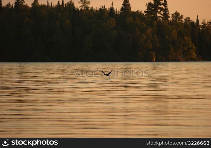 Lake - Canada