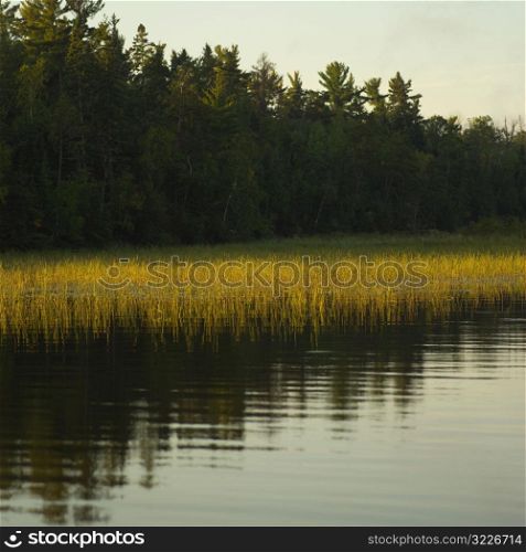 Lake - Canada
