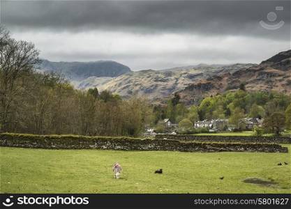 Lake District landscape with stormy sky over countryside and fells