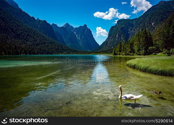 Lake Dobbiaco in the Dolomites, Italy. Lake Dobbiaco in the Dolomites, Beautiful Nature Italy natural landscape Alps.