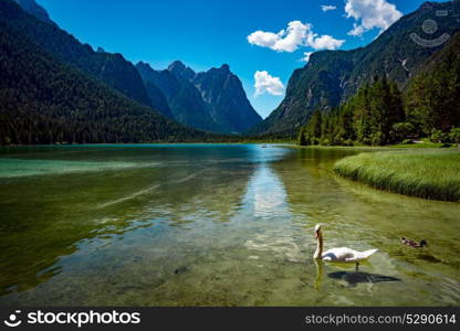 Lake Dobbiaco in the Dolomites, Italy. Lake Dobbiaco in the Dolomites, Beautiful Nature Italy natural landscape Alps.