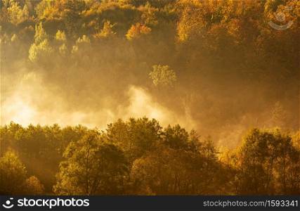 Lake fog landscape with Autumn foliage and tree reflections in Styria, Thal, Austria. Autumn season theme.. Lake fog landscape with Autumn foliage and tree reflections in Styria, Thal, Austria