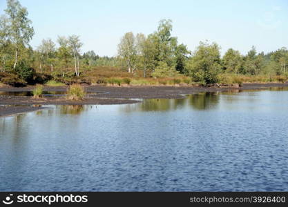 lake in a bog Schoenramer Filz, Bavaria, Germany