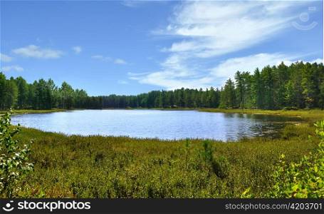 lake in a deep forest