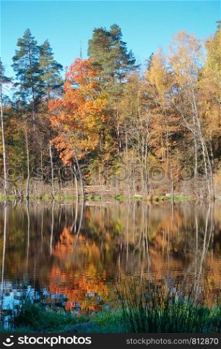 lake in autumn forest, forest lake in autumn yellow leaves. forest lake in autumn yellow leaves, lake in autumn forest