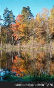 lake in autumn forest, forest lake in autumn yellow leaves. forest lake in autumn yellow leaves, lake in autumn forest