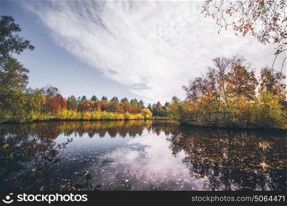 Lake in autumn with autumn leaves in the dark water and trees in autumn colors around the lake in the fall