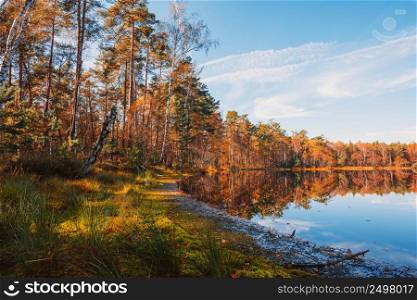 Lake in deep forest in autumn with trees vibrant foliage reflection in still water