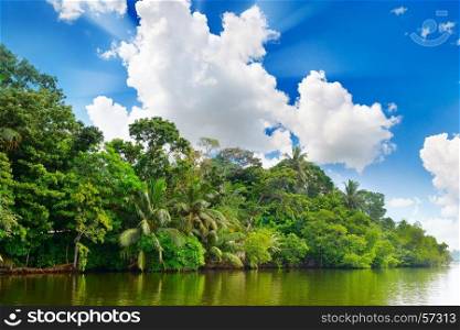 Lake in jungle and bright blue sky