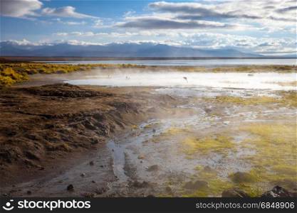 Lake in sol de manana geothermal field, sud Lipez reserva Eduardo Avaroa, Bolivia. Lake in sol de manana geothermal field, sud Lipez reserva, Bolivia