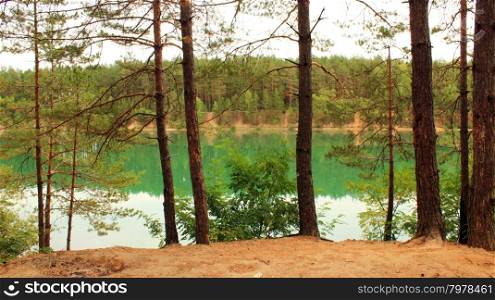 lake in the forest. beautiful landscape with picturesque lake in the forest