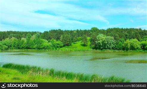 lake in the forest. beautiful summer landscape with picturesque lake in the forest