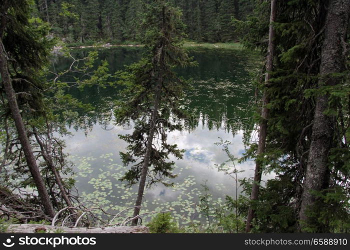 Lake in the forest of national park Durmitor, Montenegro