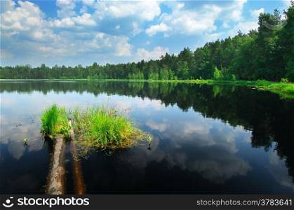 Lake in the forest with a tiny island, sunny day