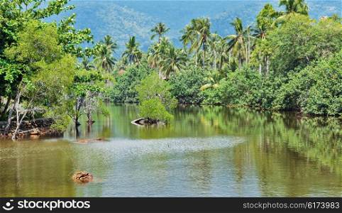 Lake in the jungles of Asia