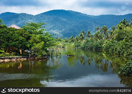Lake in the jungles of Asia