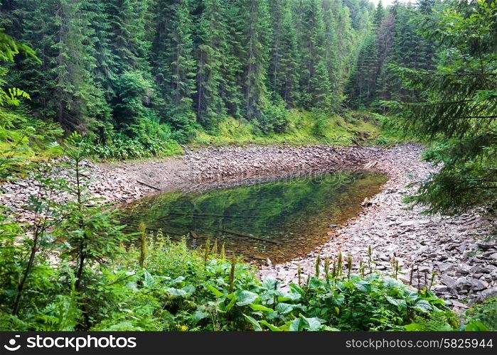 Lake in the mountains with clear water surrounded by green forest