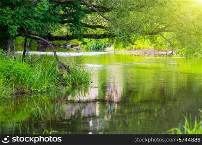 Lake in the tropical forest. Environment sunny landscape
