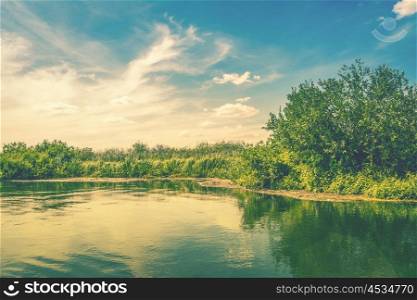 Lake in wild nature in the summer with green plants
