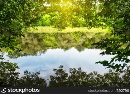 Lake is framed by green foliage under the bright sun. Summer landscape. The concept of privacy travel and freedom. Lake is framed by green foliage under bright sun