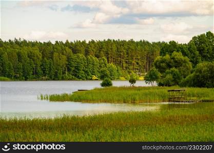 Lake Kierwik in Masuria lakeland in Poland. Water shore overgrown with green reeds. Summer landscape in Europe.. Lake with green reeds on Masuria, Poland
