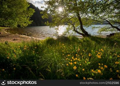 Lake Lac de Longemer in the Vosges mountains in France