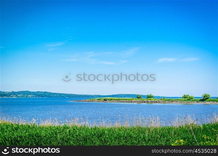Lake landscape with green grass and blue sky in the summertime