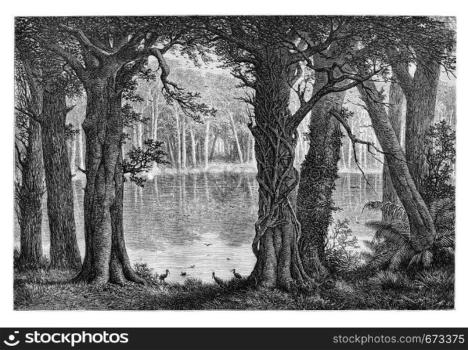 Lake Ligouri, in Angola, Southern Africa, drawing by De Bar based on the English edition, vintage illustration. Le Tour du Monde, Travel Journal, 1881