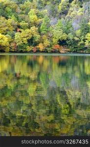 Lake of autumn tint