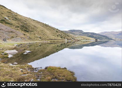 Lake of bees in Andorra La Vella