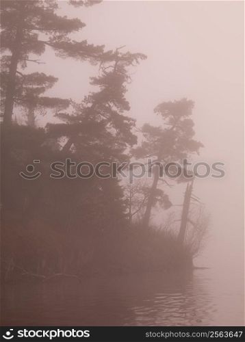 Lake of the misty woods, Ontario, Canada