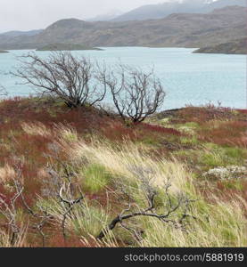 Lake Pehoe, Torres del Paine National Park, Patagonia, Chile