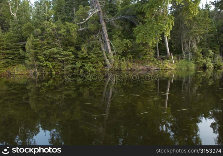 Lake Photography