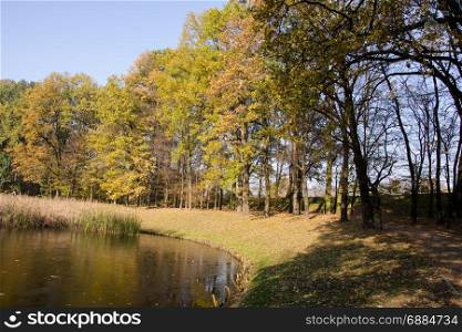 lake, pond and tree in the park photo. Beautiful picture, background, wallpaper