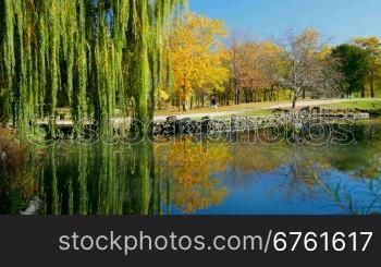 Lake Reflection in autumn park